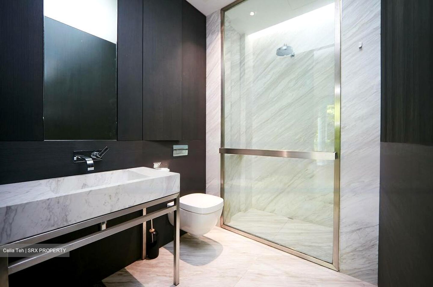 Nassim Park Residences (D10), Condominium #482257721